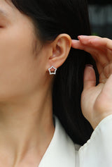 Tonight's New Star - S925 Moissanite Sterling Silver Earrings With Platinum-plated Stud Earrings, Fashionable, Trendy And Affordable Jewelry