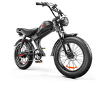C93- Dual-drive High-speed Electric Bike