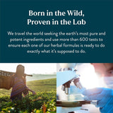 Health Care Products Lymph Health Drops